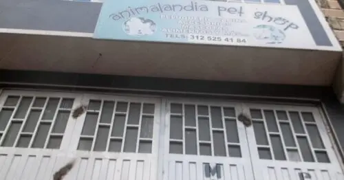 ANIMALANDIA PET SHOP ANIMALANDIA PET SHOP